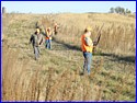 DSCN0550.JPG