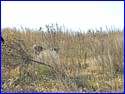 DSCN0554.JPG