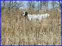 DSCN0613.JPG