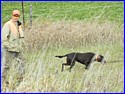 DSCN0625.JPG
